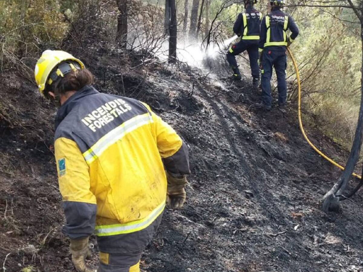 Más de 10 hectáreas han ardido en lo que va de año en incendios forestales en las Pitiusas