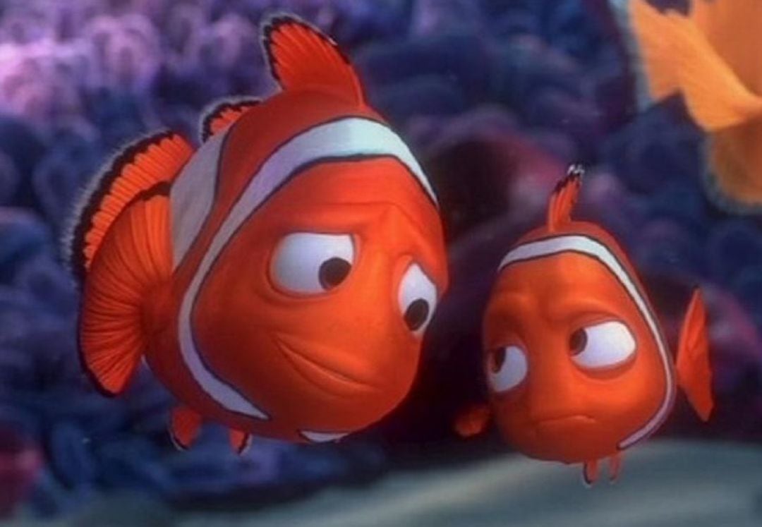 La oscura teoría que circula por las redes sobre &#039;Buscando a Nemo&#039;.