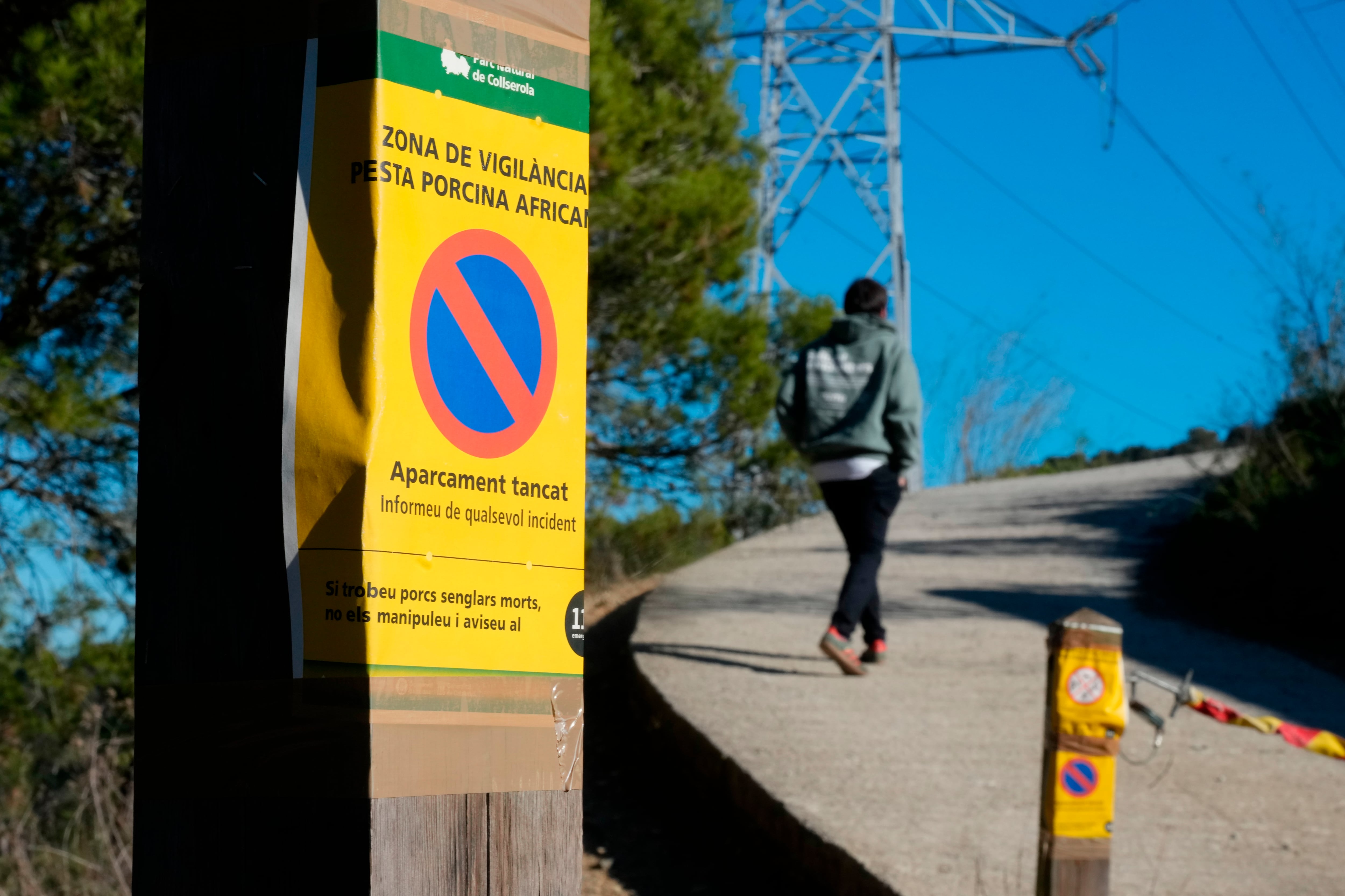 Una de les entrades a Collserola, tancades pel brot de pesta porcina africana