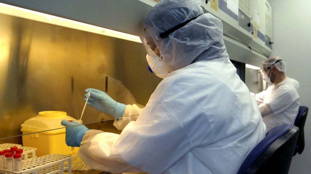 Dos investigadores manejan pruebas de test de coronavirus.