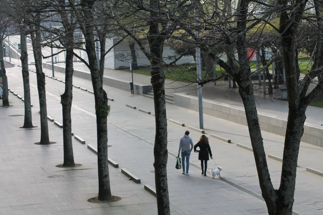 Una pareja caminando por la Avenida Montero Ríos de Vigo, ella paseando a un perro y él con una bolsa de la compra.