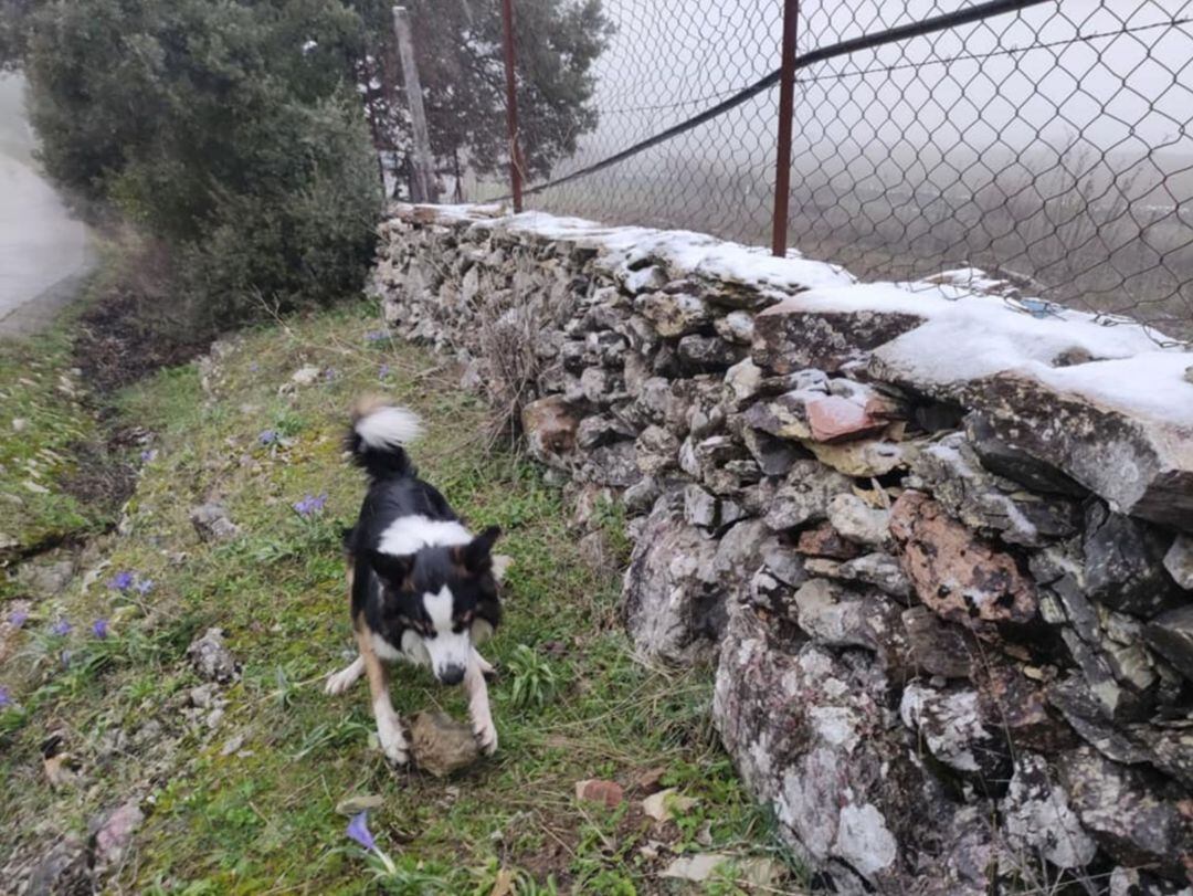 La nieve se hace visible en las inmediaciones del casco urbano de Villaluenga del Rosario