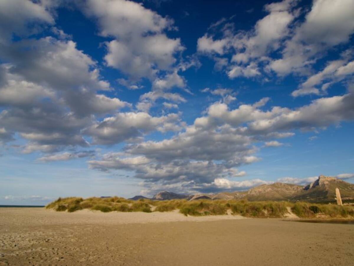 El GOB califica de "fraude a la ciudadania" el presupuesto para Medio Ambiente