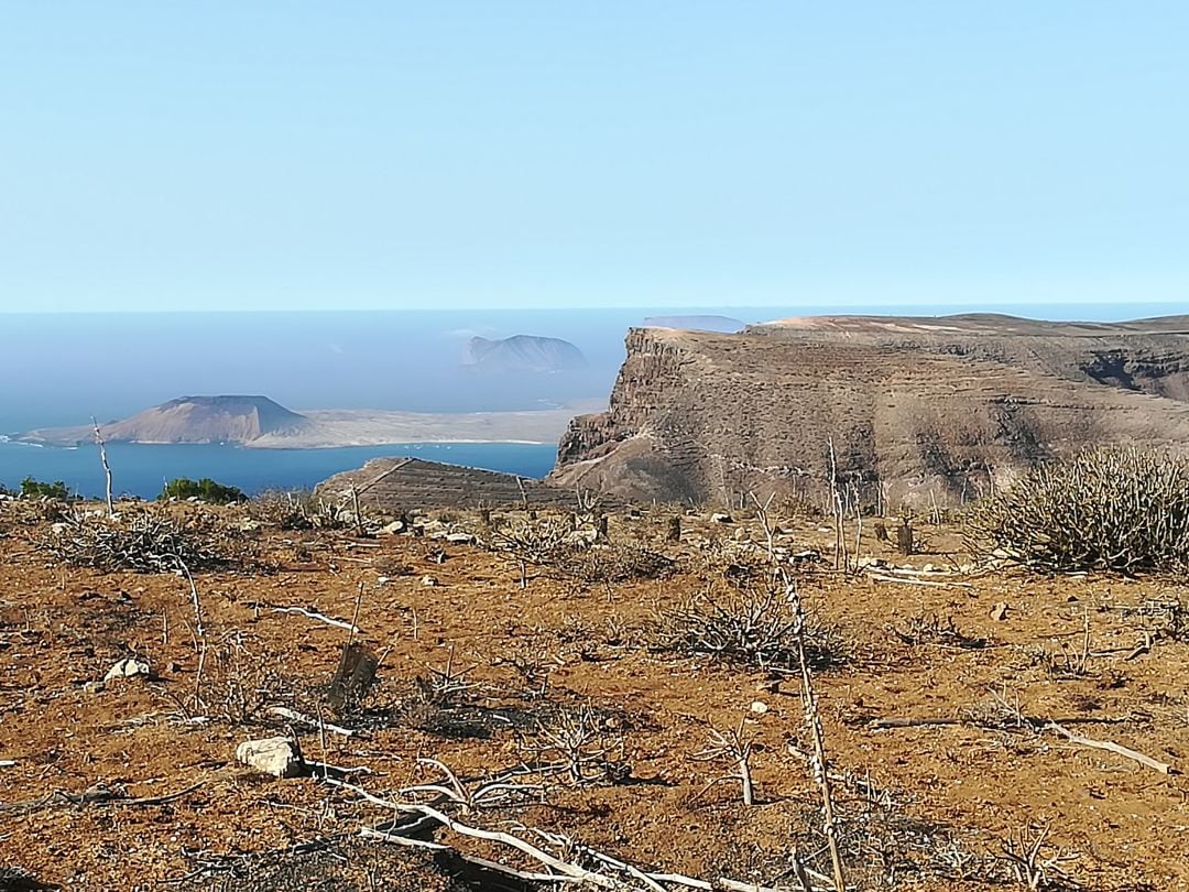 El objetivo es frenar los procesos de desertificación de la zona, que se están viendo acelerados como consecuencia del cambio climático.