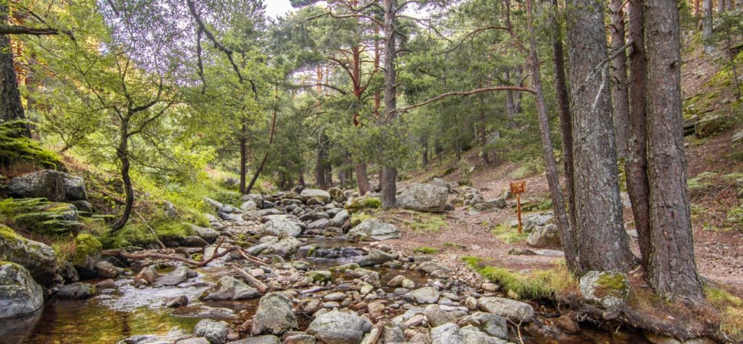 Entorno de la Sierra de Guadarrama