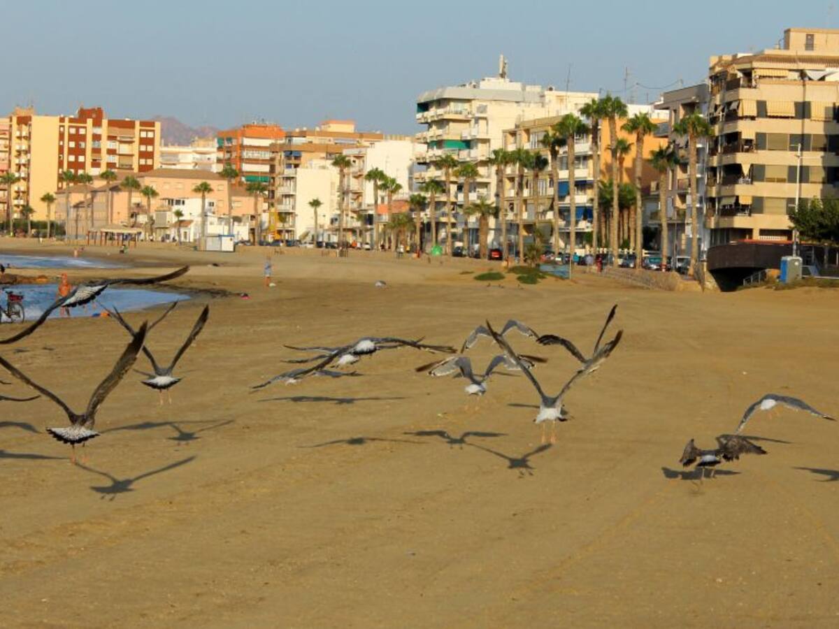 Vicente Sánchez (HosteÁguilas): "Mucha gente de Madrid se ha quedado aquí"
