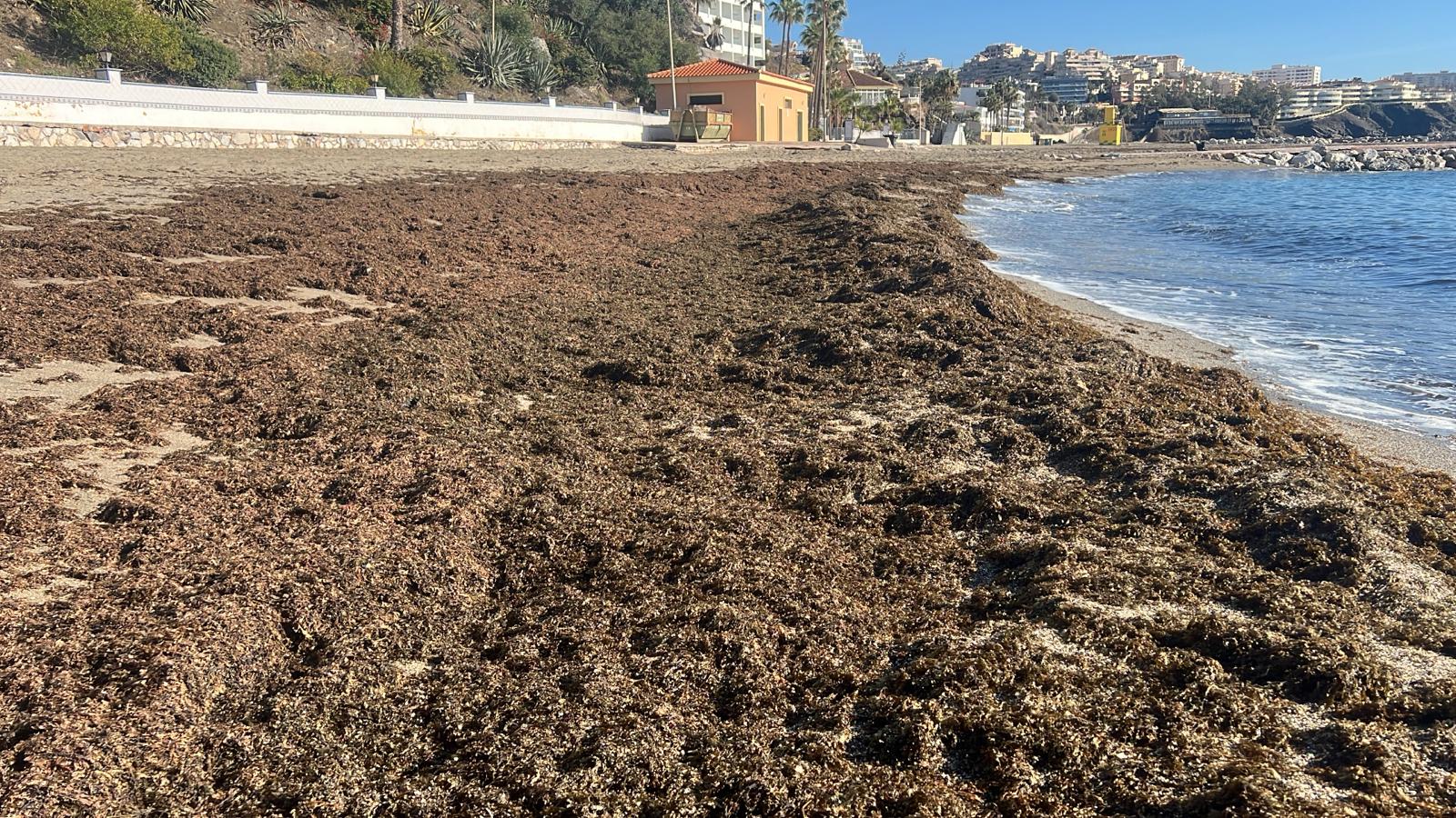 Parte del material retirado en las playas de Benalmádena (Málaga)