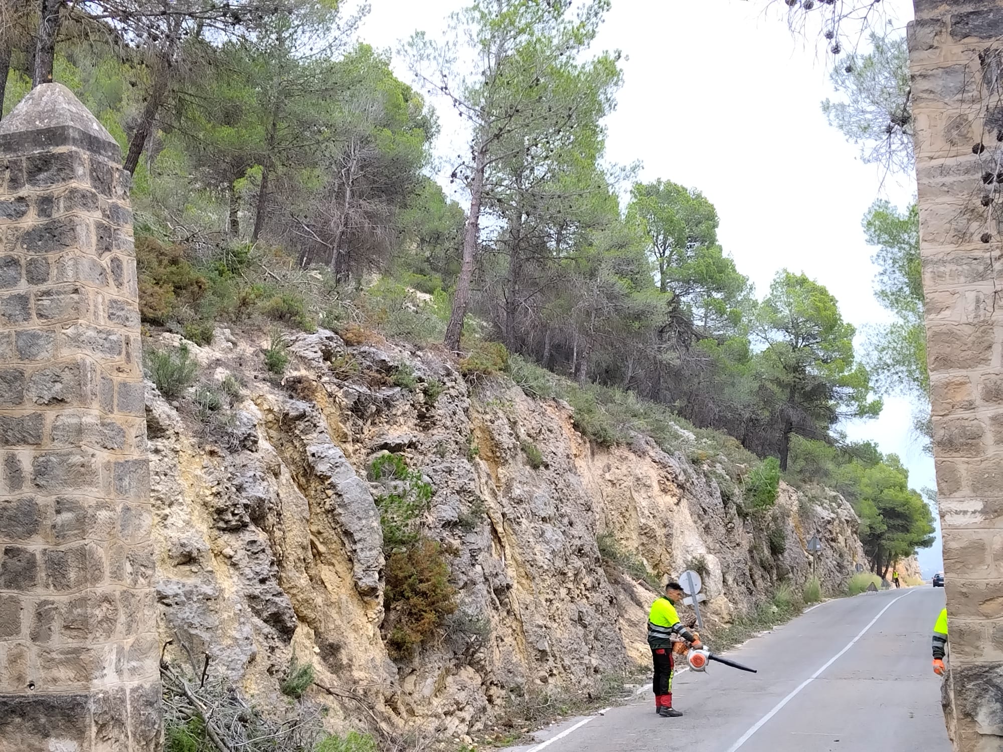 Trabajos en el cortafuego en el Preventorio