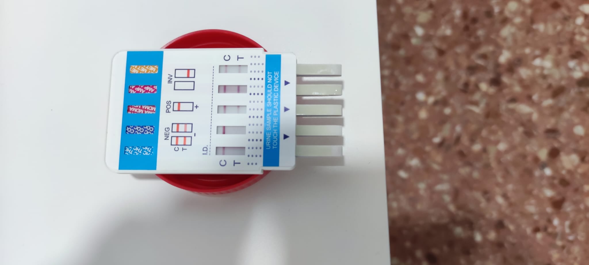 Test positivo en drogas de la perra del vecino de Bronchales