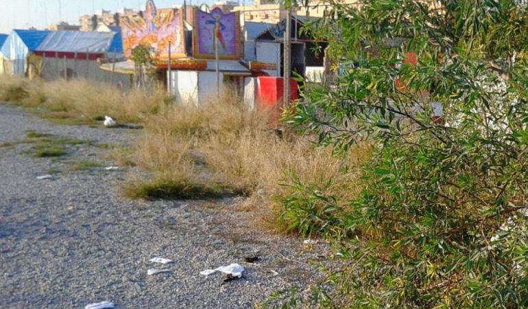 Restos de excrementos en el entorno de la Feria de NAvidad