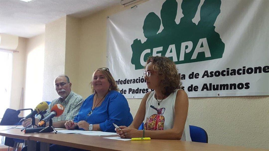 La presidenta de la Federación de Asociaciones de Padres y Madres de Alumnos (FAPA) Cantabria. Leticia Cardenal, ha asegurado que la LGTBIfobia es "la primera causa de acoso escolar".