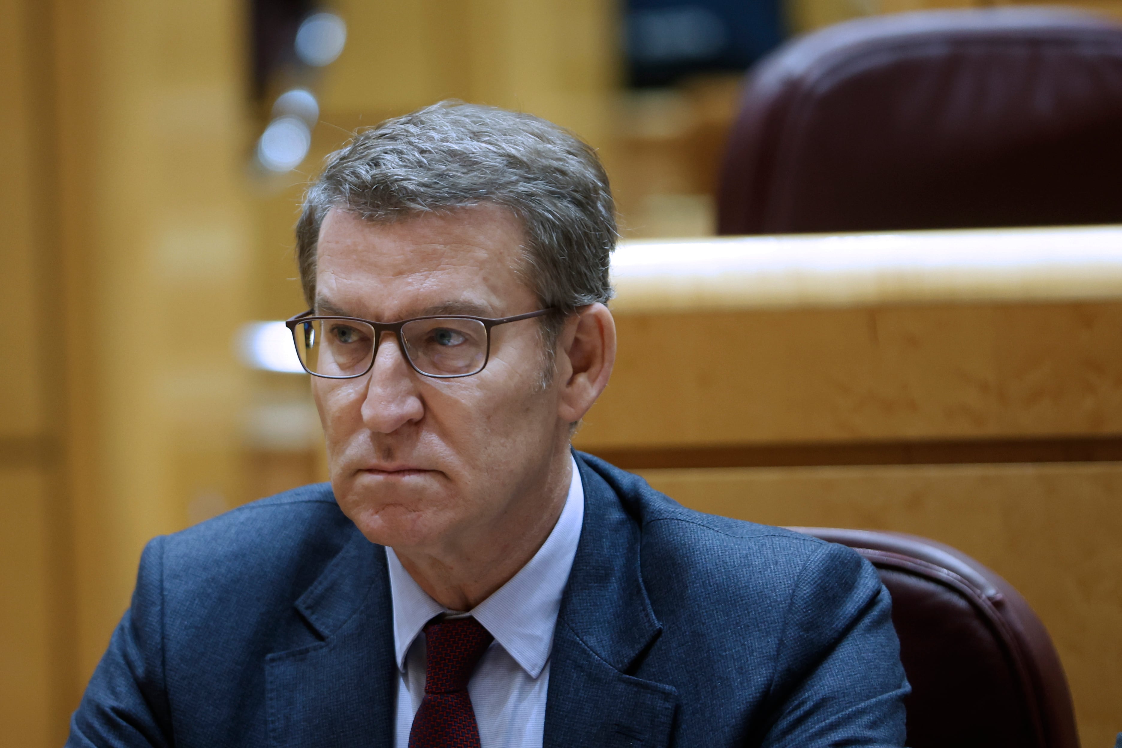 El líder del Partido Popular, Alberto Núñez-Feijóo, durante un pleno del Congreso celebrado excepcionalmente en el Senado, este miércoles en Madrid. EFE/ Mariscal