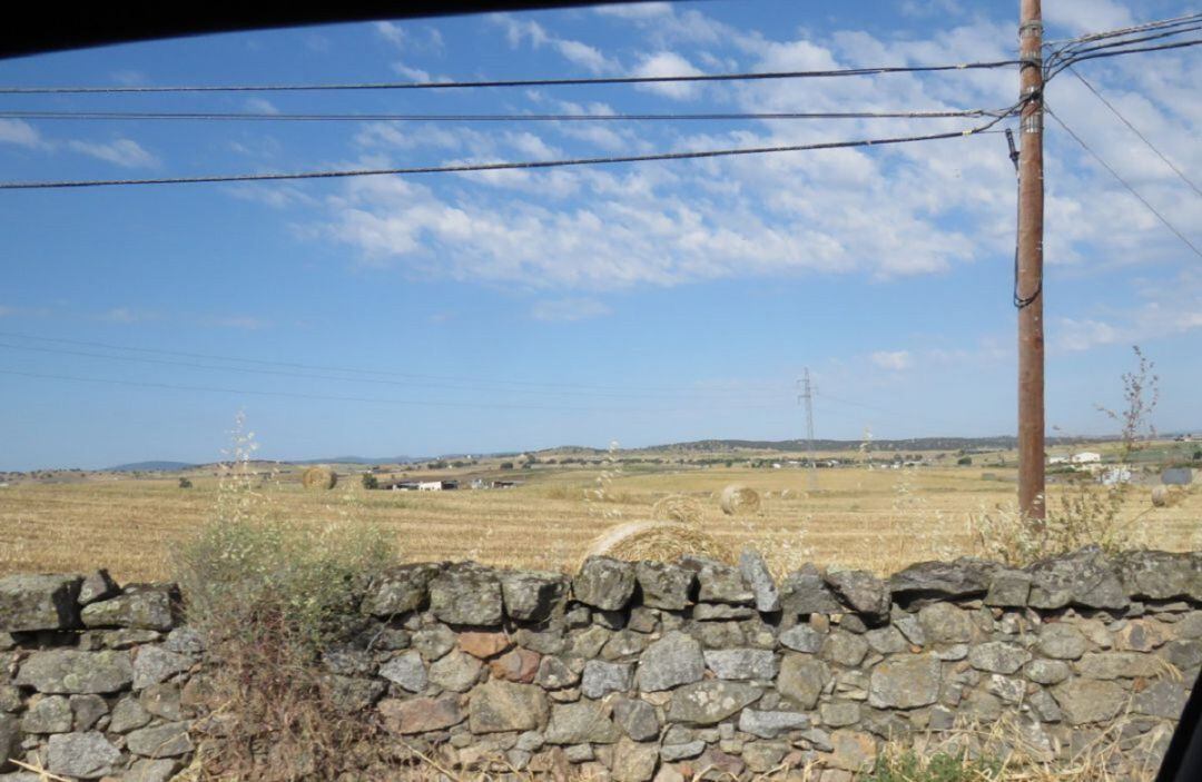 Zona ganadera en Los Pedroches.