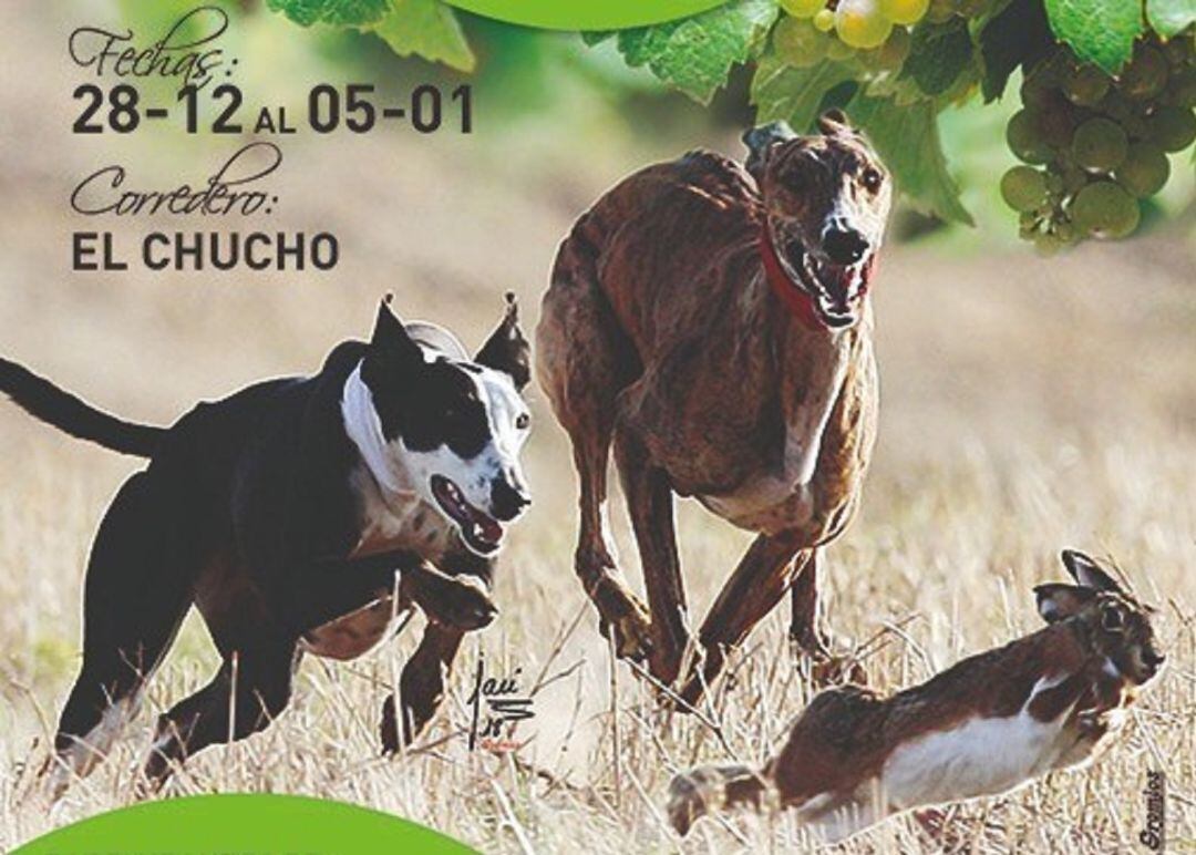 La Copa del Verdejo ofrece carreras de galgos durante estas Navidades