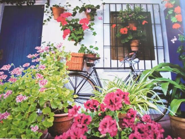 Cartel del concurso de Patios