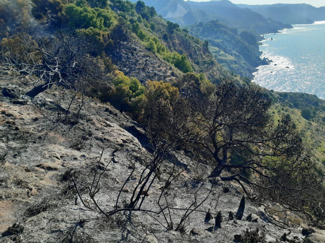 Así ha quedado el paraje afectado por el incendio