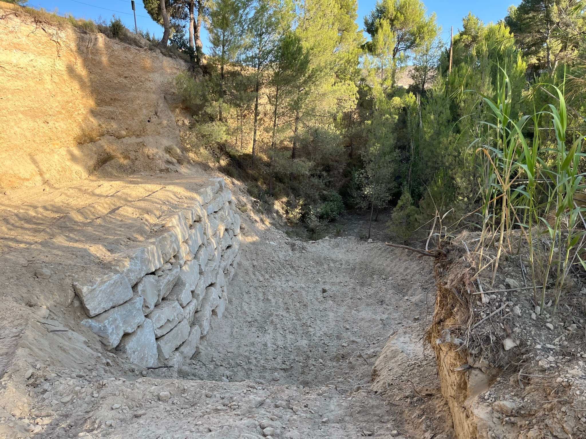 Petrer actúa en el camino de La Almadraba