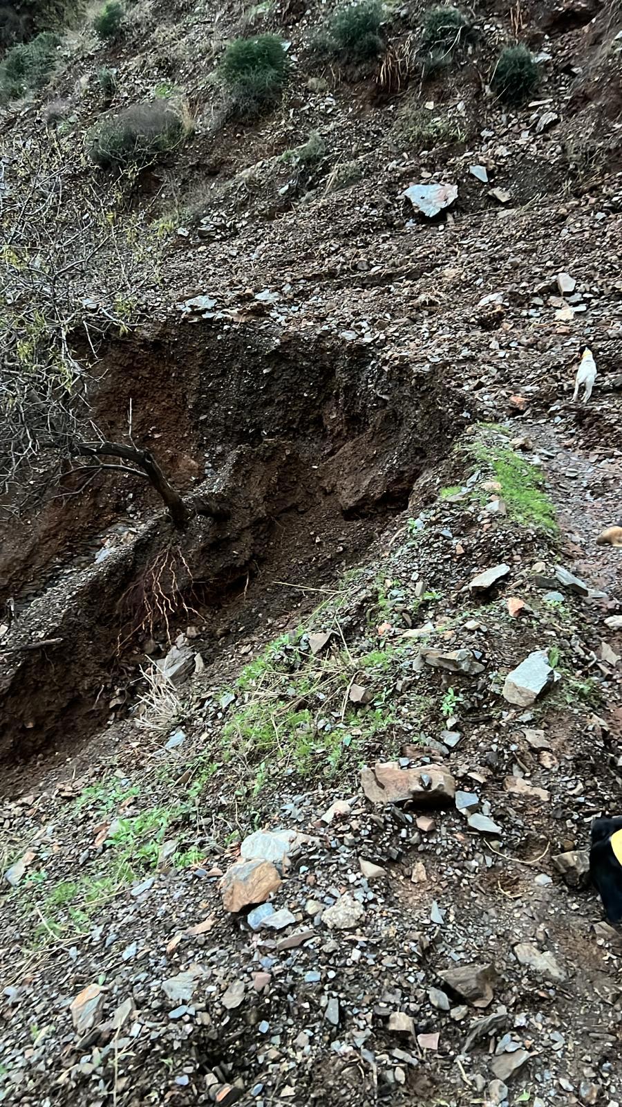 Una de las laderas de los Montes de Málaga que ha sufrido desprendimientos