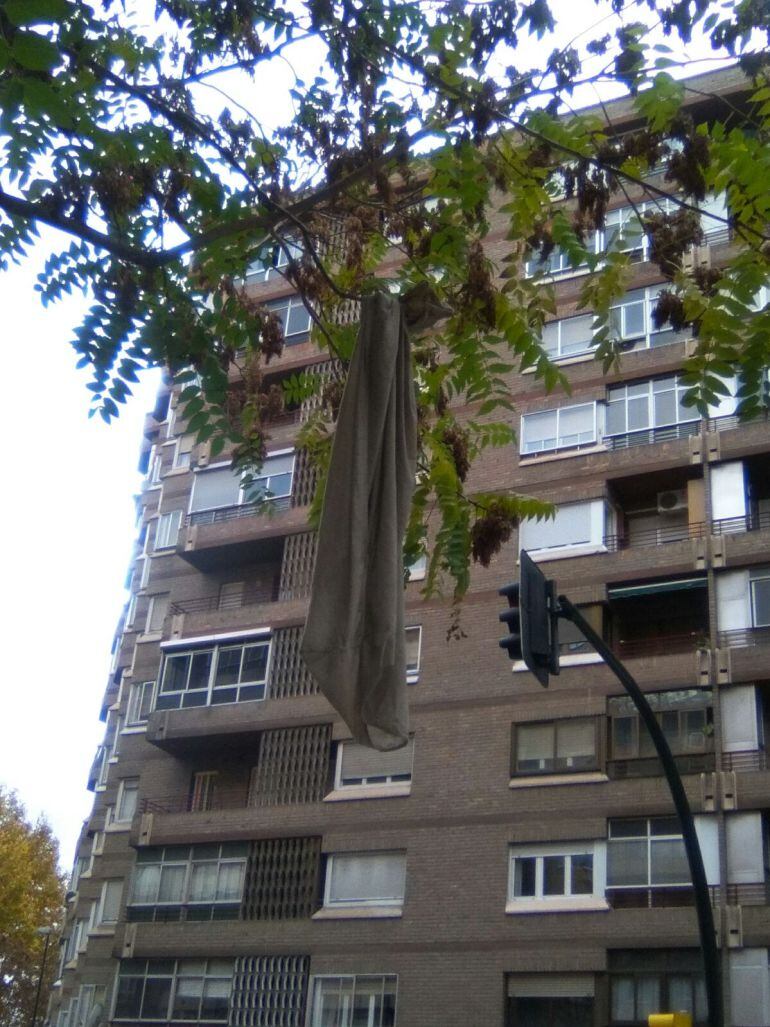 Hace más de un año que esta sábana cuelga del árbol.