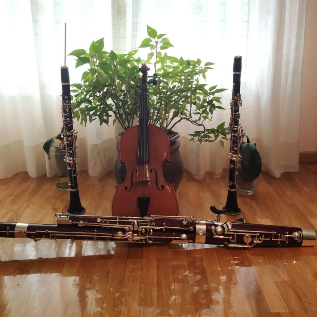 El Enseble Interamnium Flavium cierra esta semana el festival Corteza de Encina