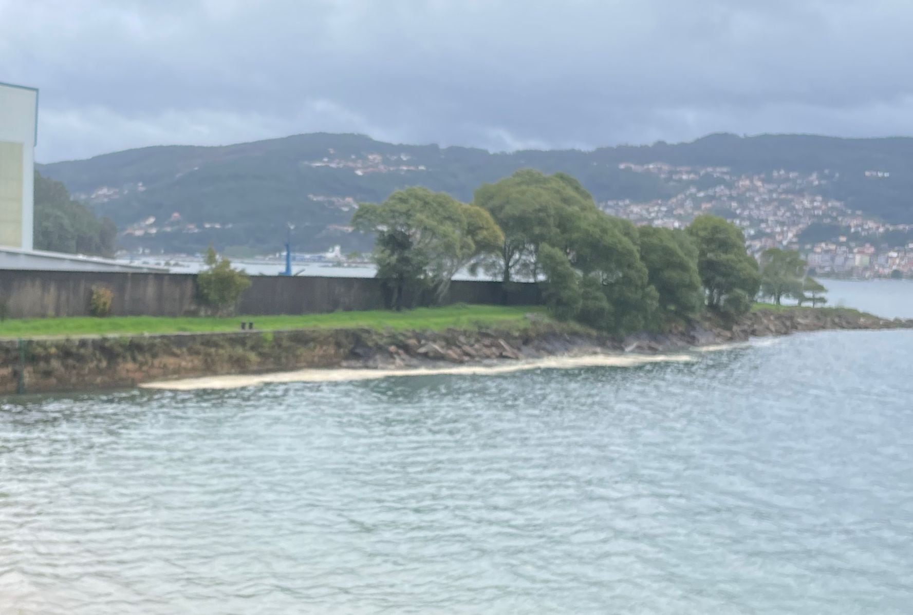 Restos de aceite de palma en Moaña