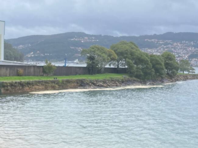 Restos de aceite de palma en Moaña