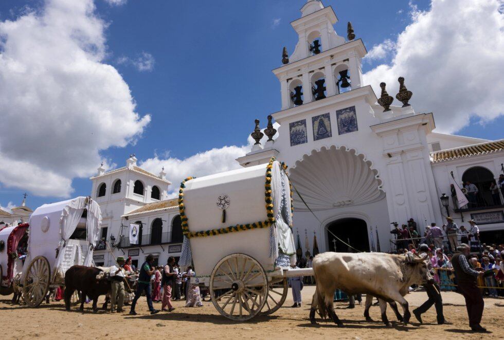  Unos carros con bueyes de la Hermandad de Triana (Sevilla), durante la presentación de hermandades ante la Virgen en la aldea almonteña de El Rocío (Huelva).