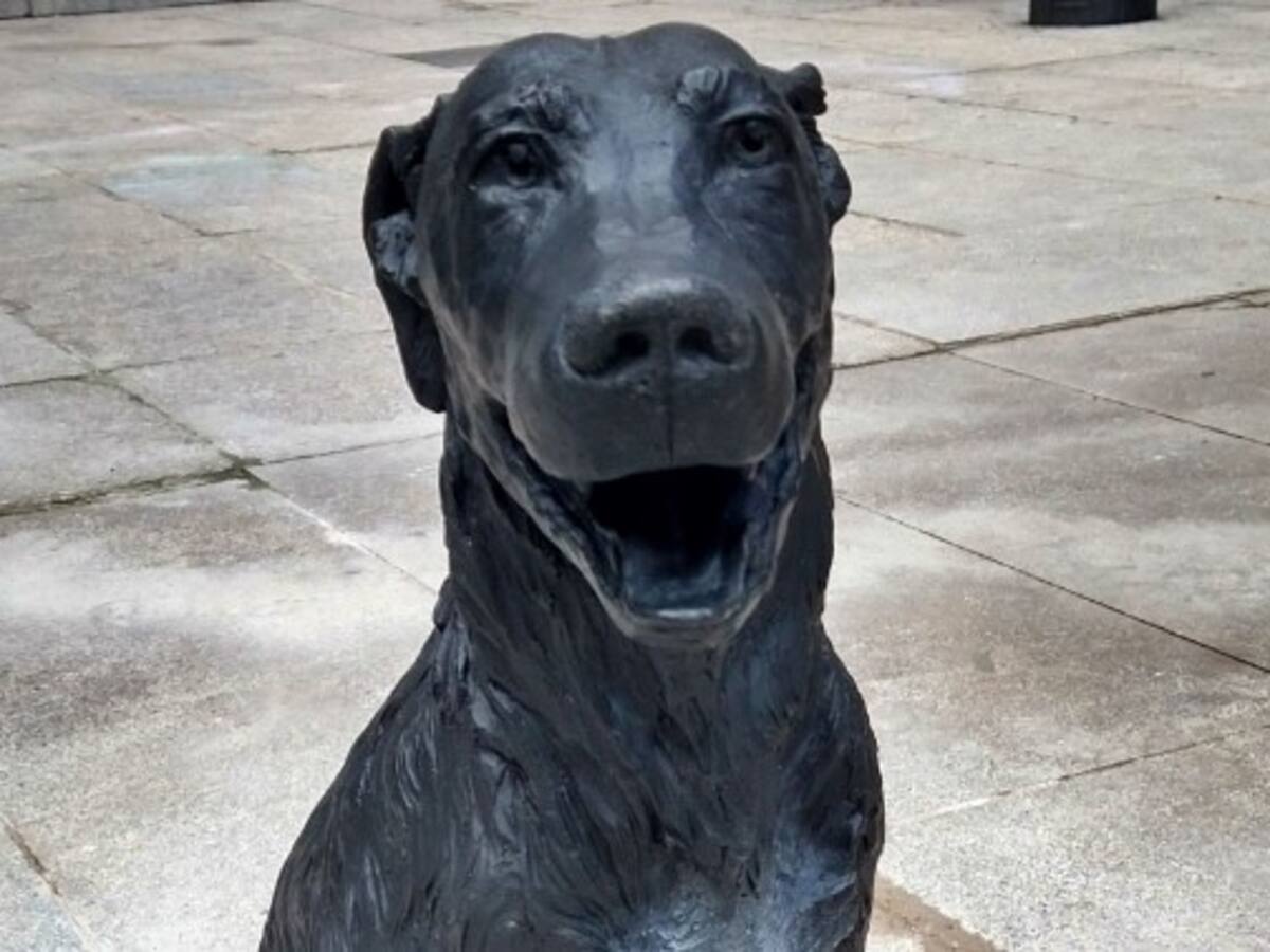 El viaje de ida | Del perro Paco al perro de Picasso