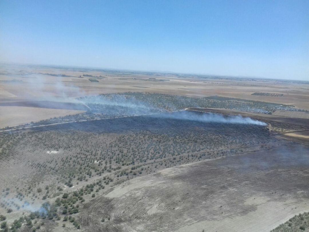 Zona afectada por el incendio