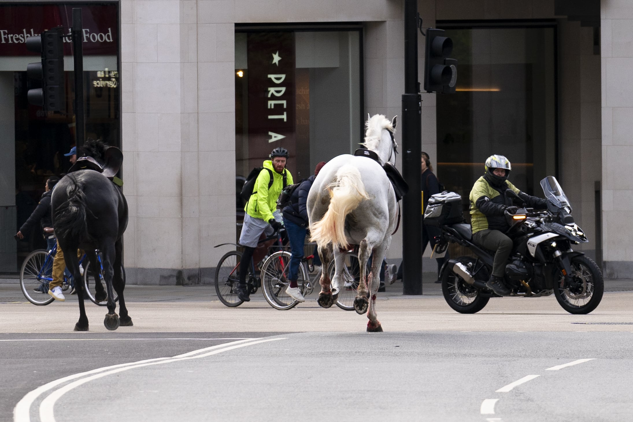 Incredulidad en las calles de la capital británica por la presencia de varios caballos desbocados.