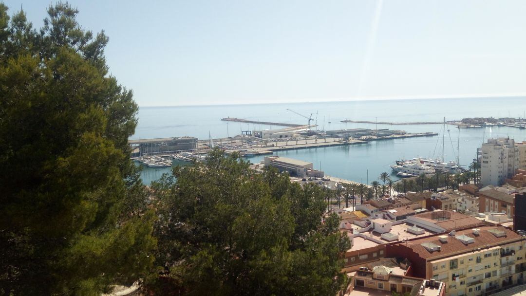 Puerto de Dénia desde el Castillo.