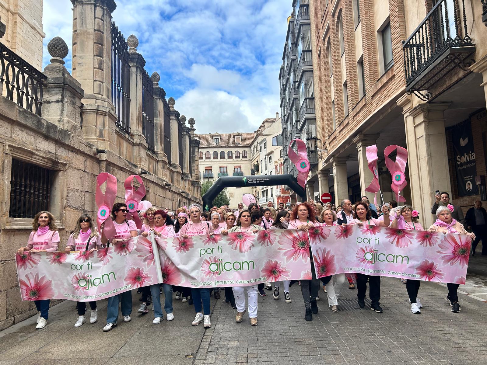 Cabecera de la marcha de Ajicam el pasado domingo en las calles de Jaén capital.