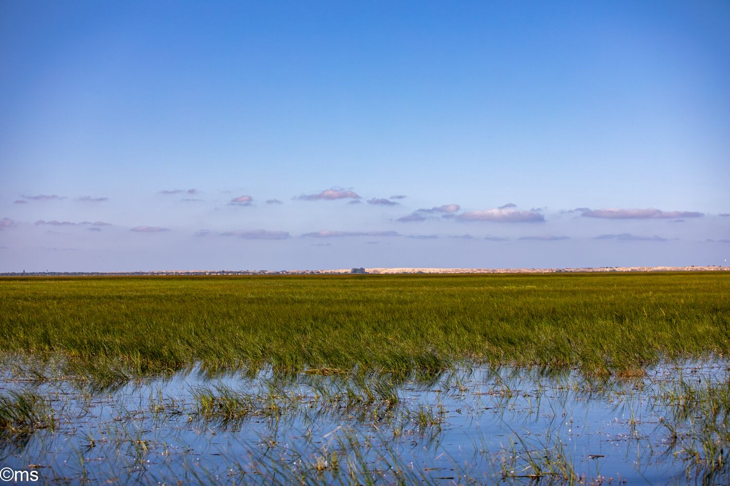 Espacio Natural de Doñana (mayo de 2025)