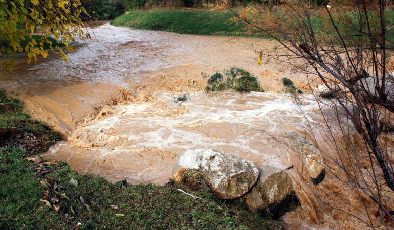 Riera del Baix Penedès. 