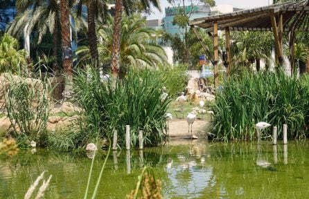 Lago en el que conviven diferentes especies animales