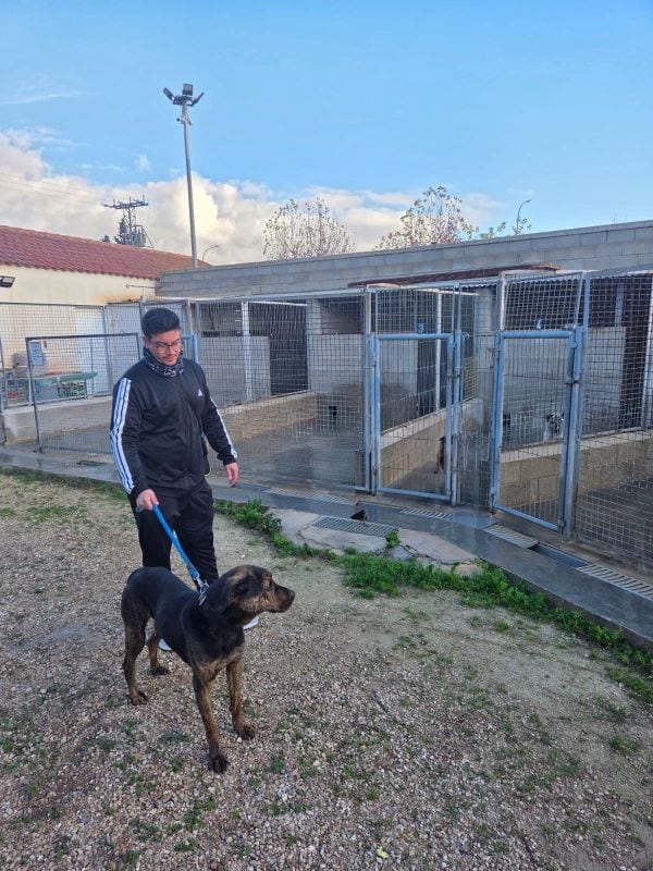 Visita al albergue canino municipal de Caudete