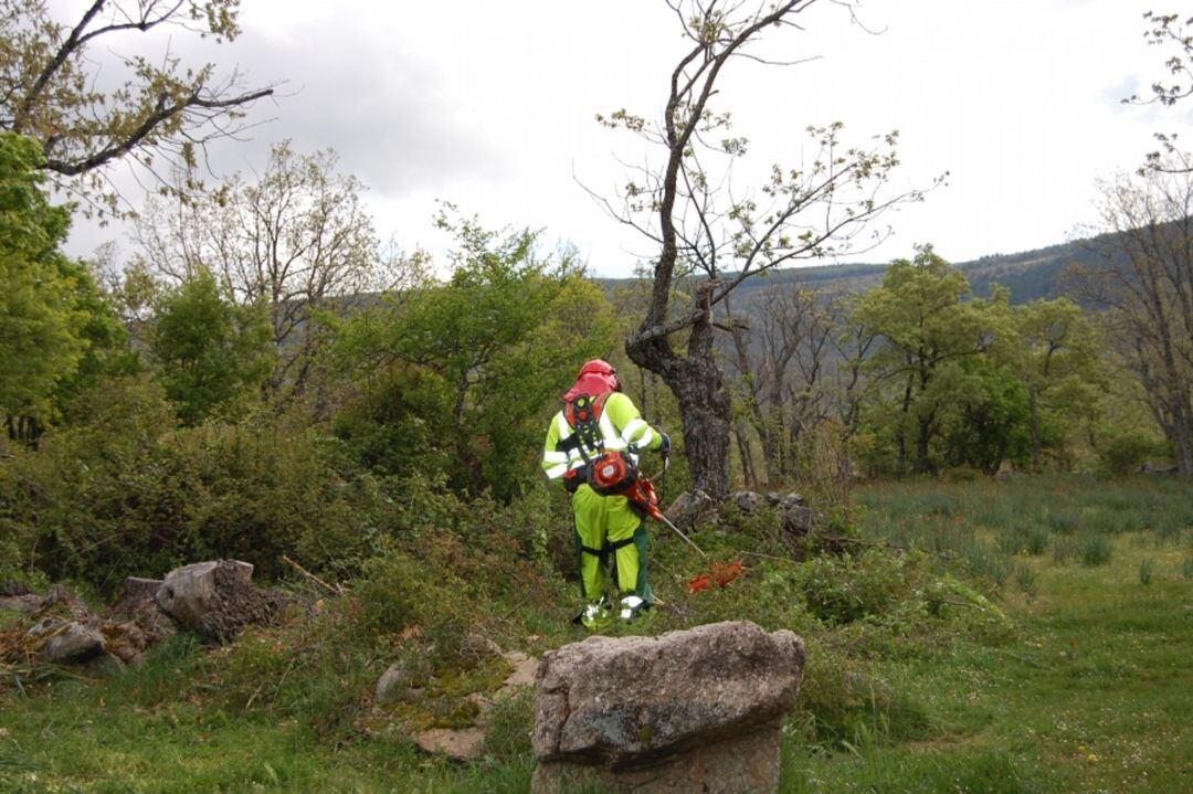 Trabajador de las brigadas forestales