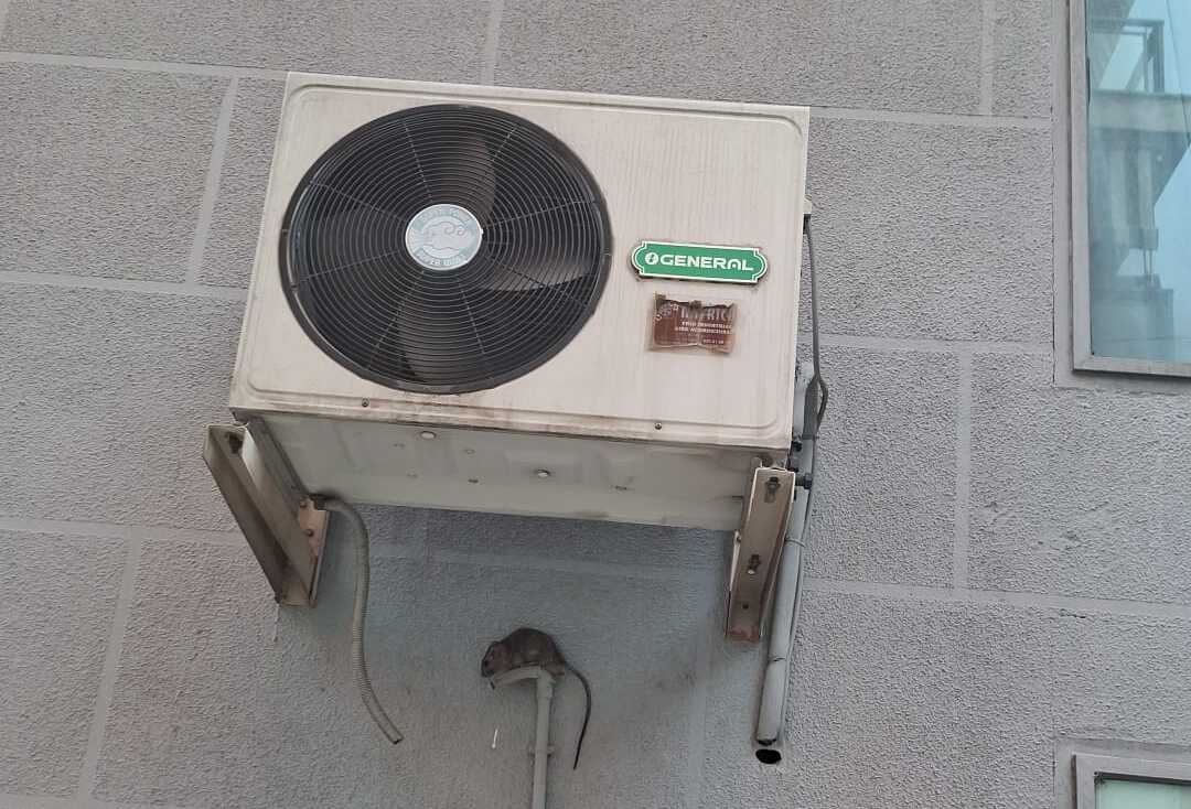 Rata junto a un aparato de aire acondicionado situado en el barrio de El Pilar, en Talavera de la Reina