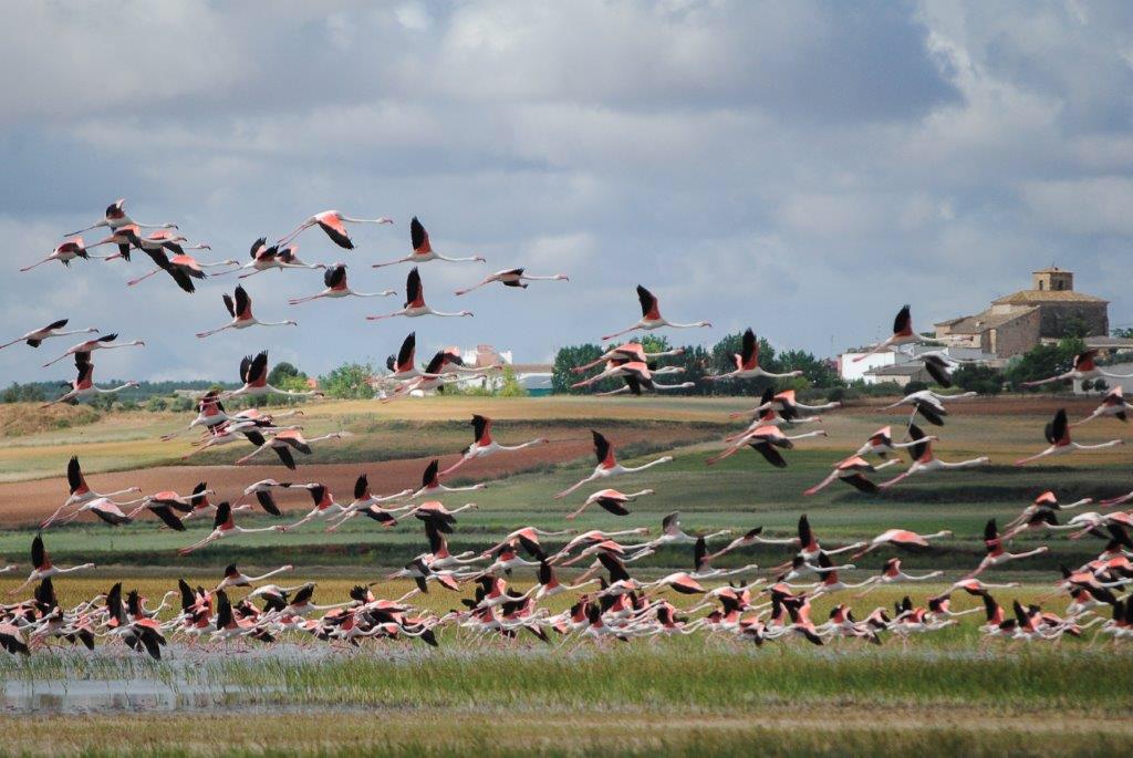 Laguna de El Hito