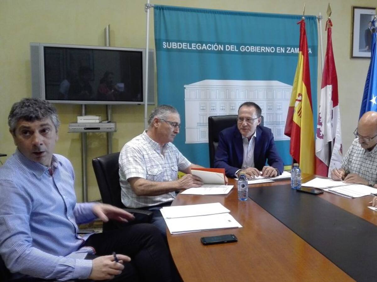 Reducción de atropellos de fauna salvaje