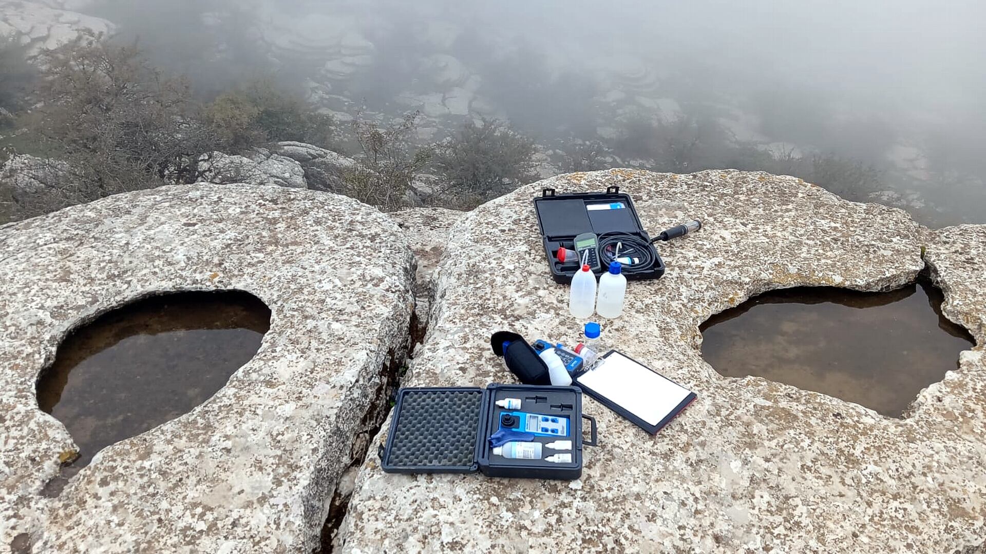 Biodiversidad oculta en los Pilones del Torcal de Antequera