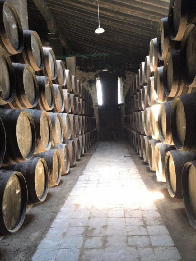 Uno de los encantadores rincones de las bodegas Emilio Hidalgo