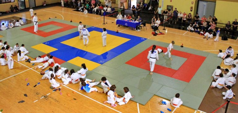 El creciente número de participantes obligó a disponer de un tercer tatami para dar servicio a la gran demanda, en la última jornada de la Copa Diputación de Judo.