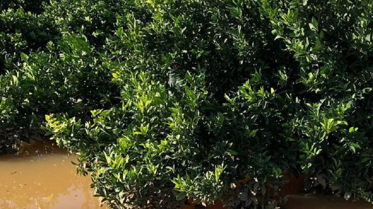 Entrevista en la Ventana a Cristóbal Aguado