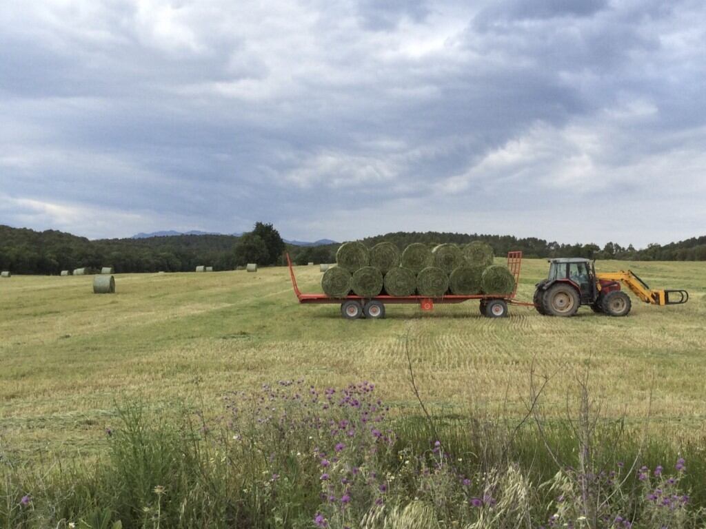 Camp de conreu a l&#039;Empordà