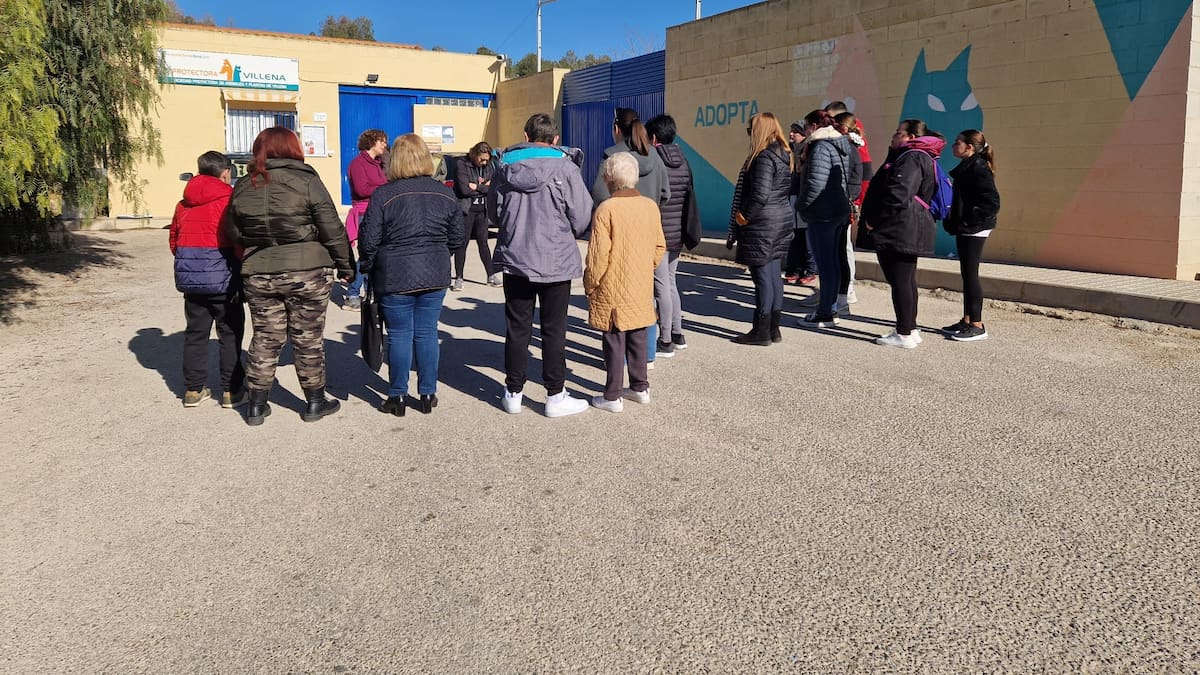 Jornadas de puertas abiertas en el albergue de animales con motivo de San Antón