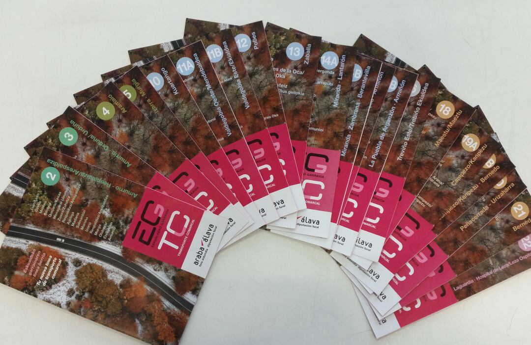 Líneas y horarios del nuevo servicio de Transporte Comarcal