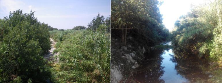 Abans i després de l'actuació.