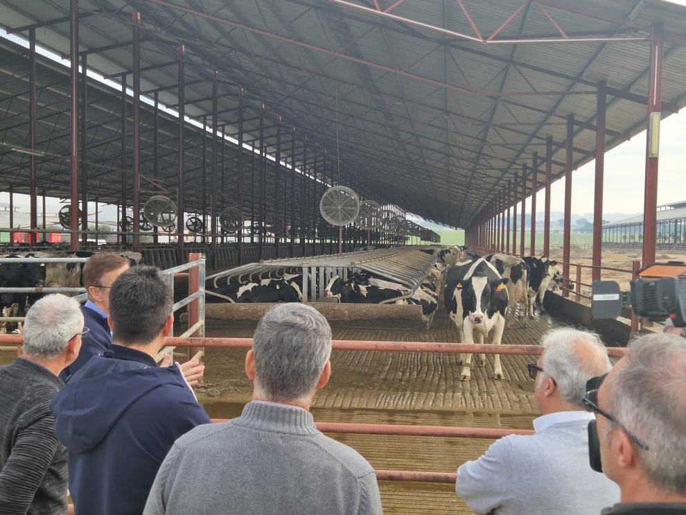 Visita del consejero de agricultura a la Granja San José