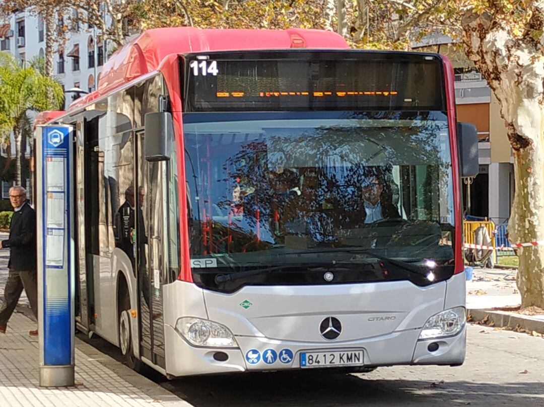 Una de las paradas de los autobuses urbanos de Jerez en el centro de la ciudad